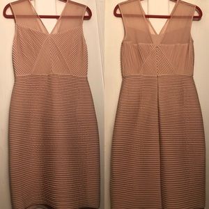 Calvin Klein | Blush Pink Ribbed Bodycon Dress